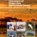 Cover of Chincoteague National Wildlife Refuge's Comprehensive Conservation Plan shows an orange scene with birds in flight overlaid with a grid of six photos